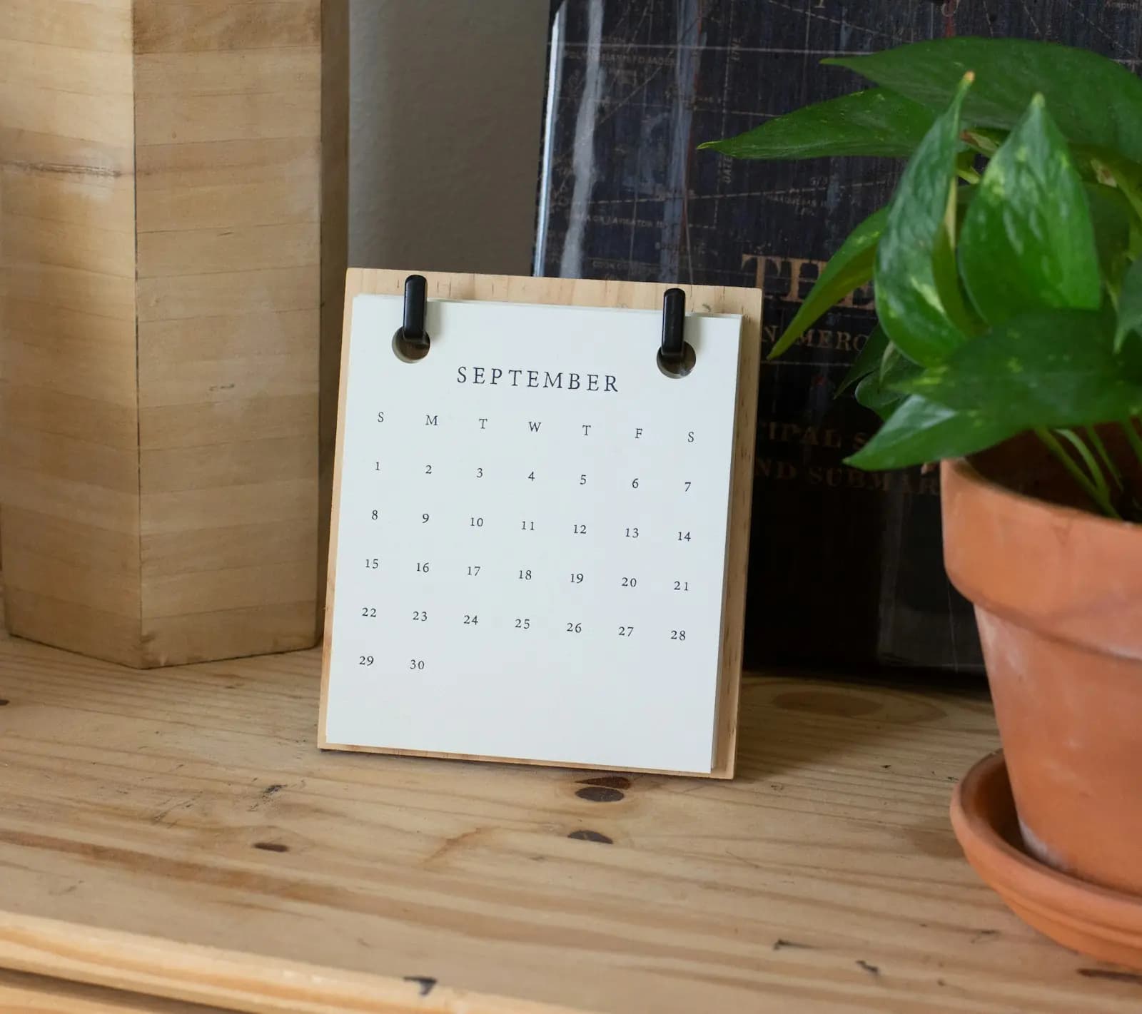 Desk calendar next to a plant